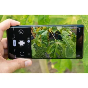 Google Pixel 6 pro Mr Solde (15)