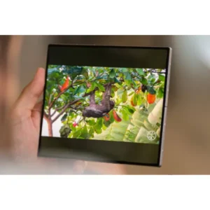 Samsung Galaxy Z Fold6 chez Mr Solde