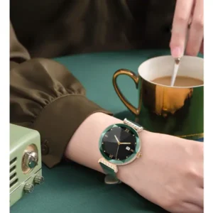 Montre intelligente Green Lion Swarovski chez Mr Solde Cameroun