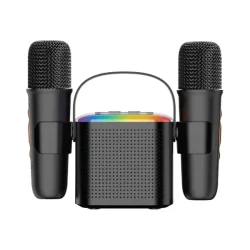 Haut-parleur Karaoke 2 en 1 Green Lion chez Mr Solde Cameroun